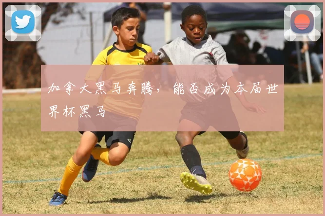 加拿大黑马奔腾,能否成为本届世界杯黑马