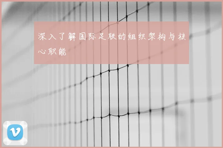 深入了解国际足联的组织架构与核心职能
