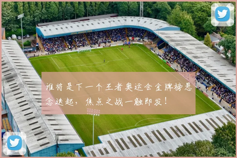 谁将是下一个王者奥运会金牌榜悬念迭起，焦点之战一触即发！