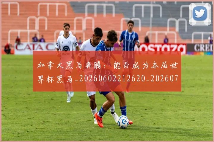 加拿大黑马奔腾，能否成为本届世界杯黑马_20260602212620_20260704174033