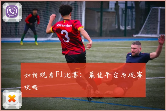 如何观看F1比赛：最佳平台与观赛攻略